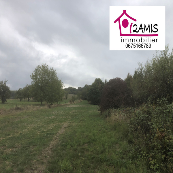 Offres de vente Terrain Étraye 55150