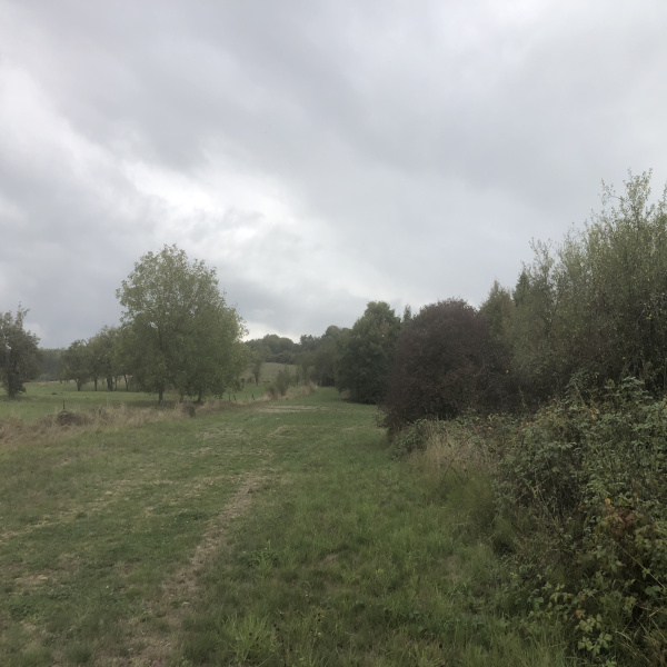Offres de vente Terrain Étraye 55150